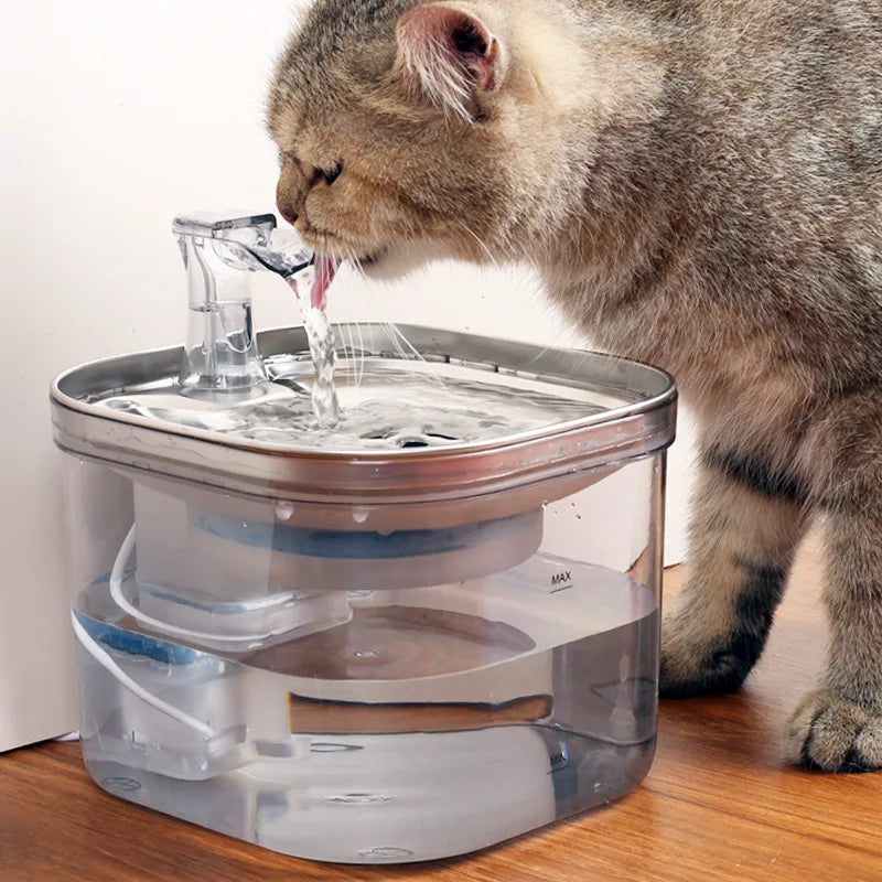 Stainless Steel and PP Transparent Automatic Pet Water Dispenser WF040 2L Capacity USB-Powered Silent Pump Cats Water Fountain