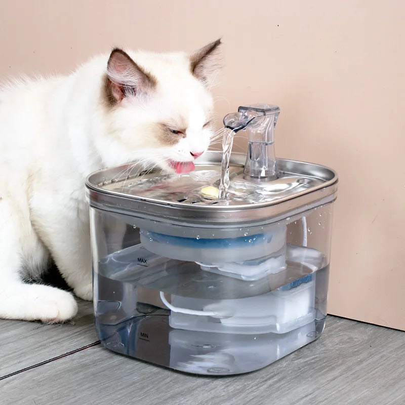 Stainless Steel and PP Transparent Automatic Pet Water Dispenser WF040 2L Capacity USB-Powered Silent Pump Cats Water Fountain